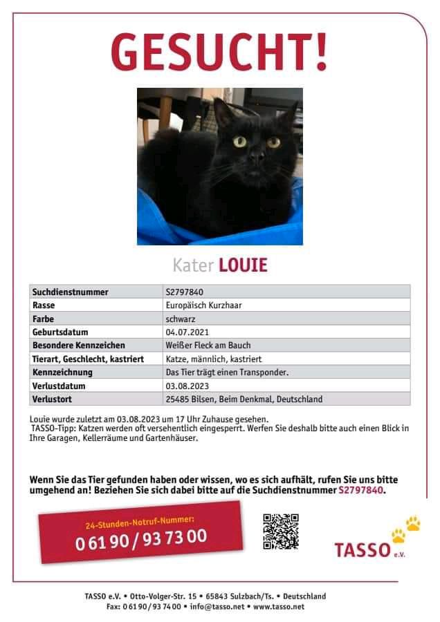 Gesucht wird...Louie aus Bilsen ‼️ in Hitzhusen