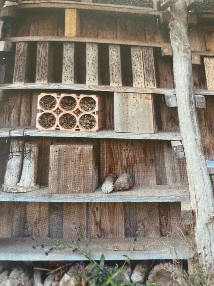 GESUCHT: Bambus, Holunder, Schilf zum Bau von Insektenhotels in Hennef (Sieg)