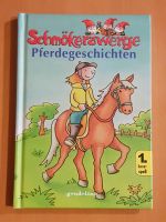 Pferdegeschichten - Schmökerzwerge 1.Lesespaß ab 6 J. - gondolino Rheinland-Pfalz - Heßheim Vorschau