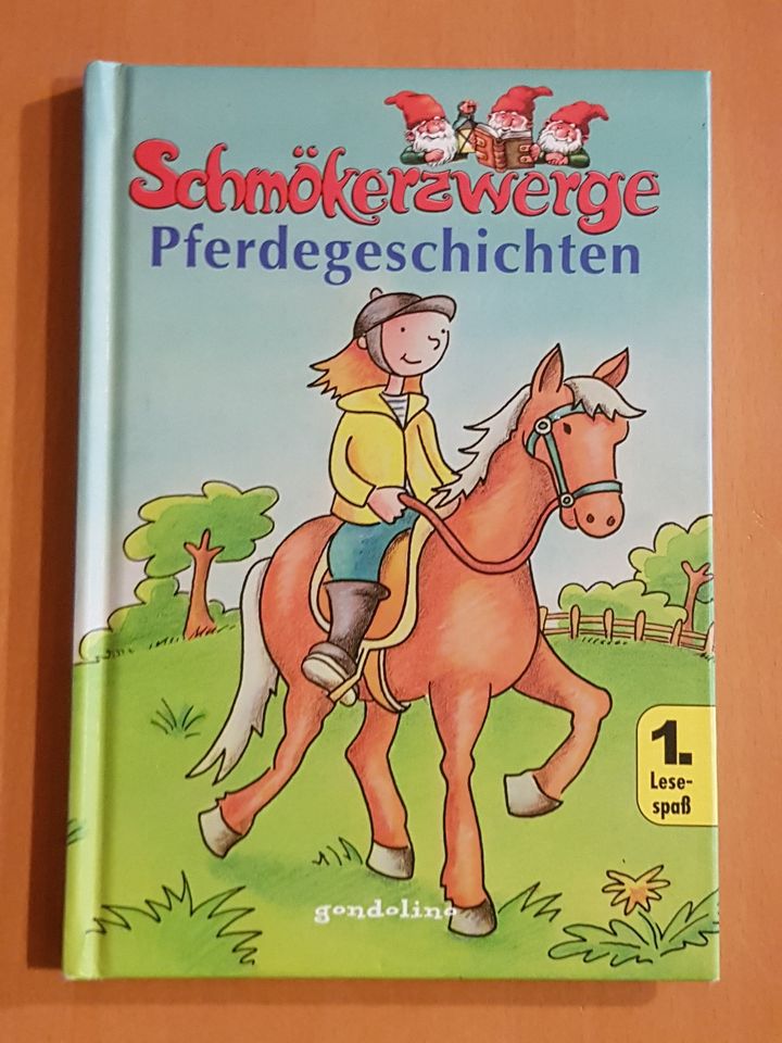 Pferdegeschichten - Schmökerzwerge 1.Lesespaß ab 6 J. - gondolino in Heßheim