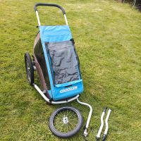 Croozer Fahrradanhänger Kid Plus for 1 Schleswig-Holstein - Itzehoe Vorschau