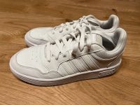 Adidas Sneaker Sportschuhe Schuhe Gr. 36 Bayern - Winzer Vorschau
