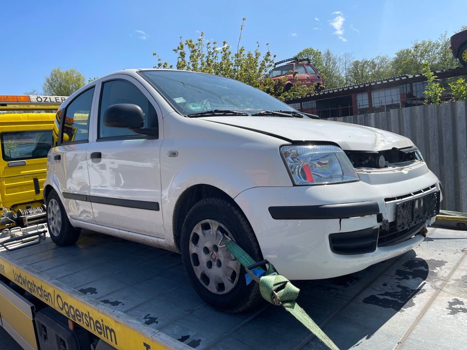 Schlachtfest Fiat Panda in Ludwigshafen