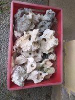 Malawi Steine fürs Aquarium Sachsen - Treuen Vorschau