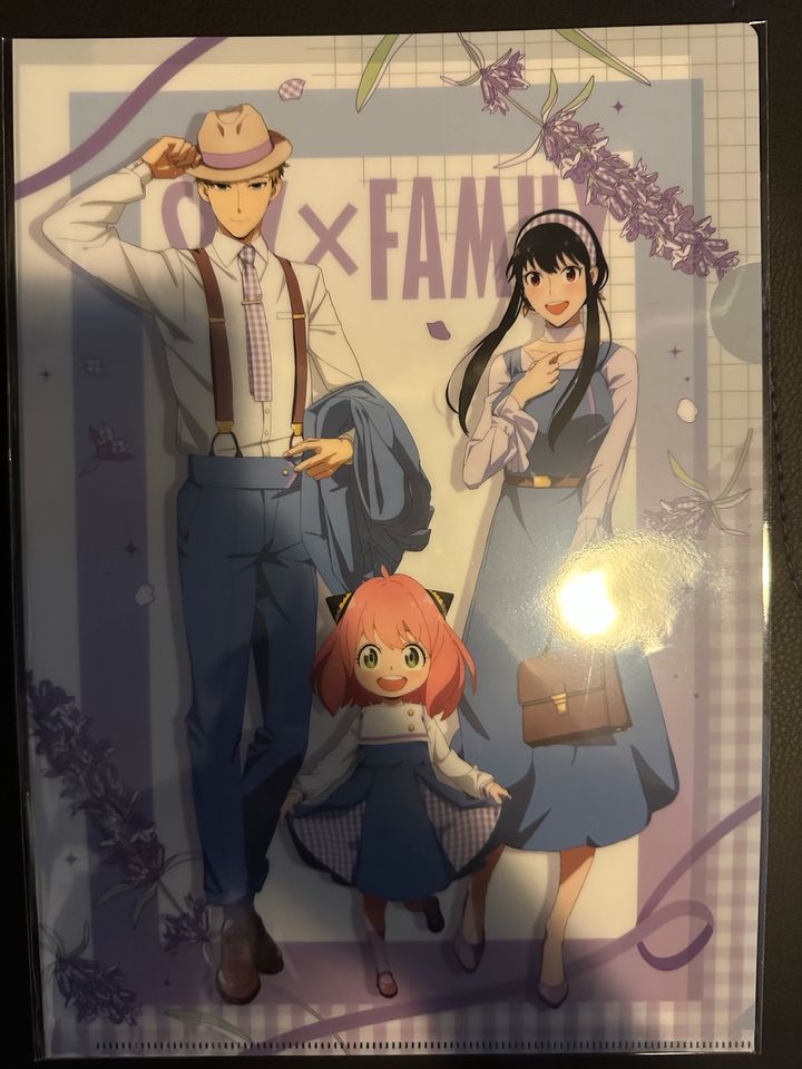 Clearfile Kaguya-sama,Attack on Titan,Tokyo Revengers,Spy Family in Mörfelden-Walldorf