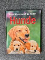 Kinderbuch , Wissen über Hunde Nordrhein-Westfalen - Brakel Vorschau