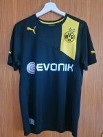 BVB Trikot Rheinland-Pfalz - Böhl-Iggelheim Vorschau