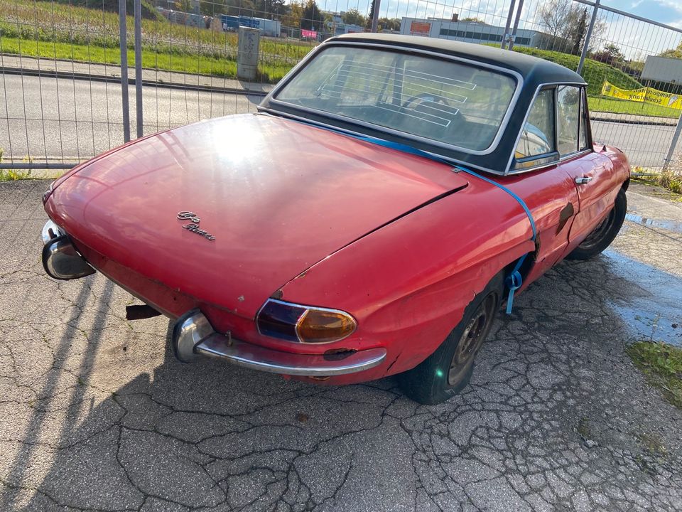 Alfa Romeo 1750 Rundheck Spider MATCHING NUMBERS in Haar