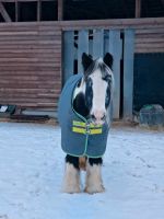 Mehrere Horseware decken 125cm (neue bilder) Bayern - Amberg Vorschau