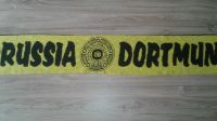 Borussia Dortmund Fußballschal  drei Stück Sachsen-Anhalt - Muldestausee Vorschau