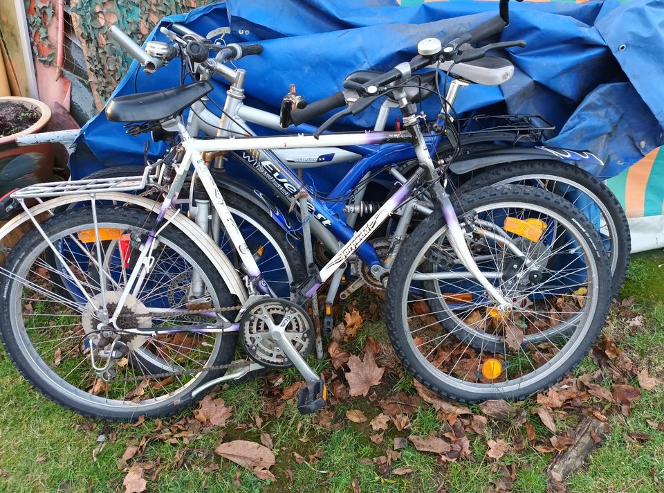 26 er Herren  Fahrräder 3 Stück gebraucht kleiner Defekt Konvolut in Wendeburg