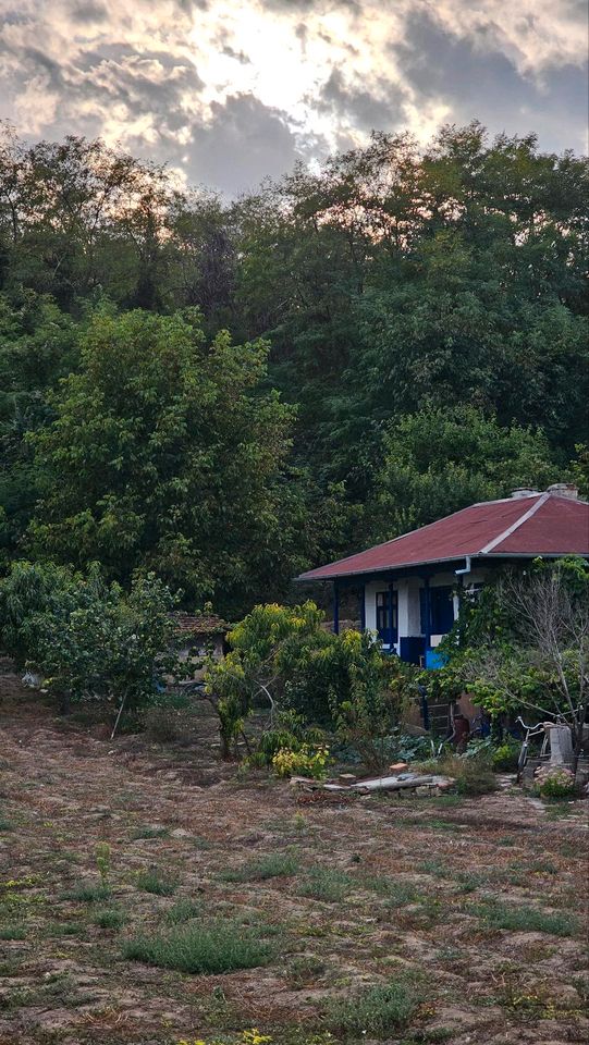 Privat verkauft House mit Grundstück 100km von Meer in Sankt Augustin