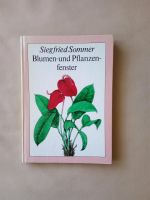 DDR Fachbuch Blumen-und Pflanzenfenster  1984 Dresden - Räcknitz/Zschertnitz Vorschau