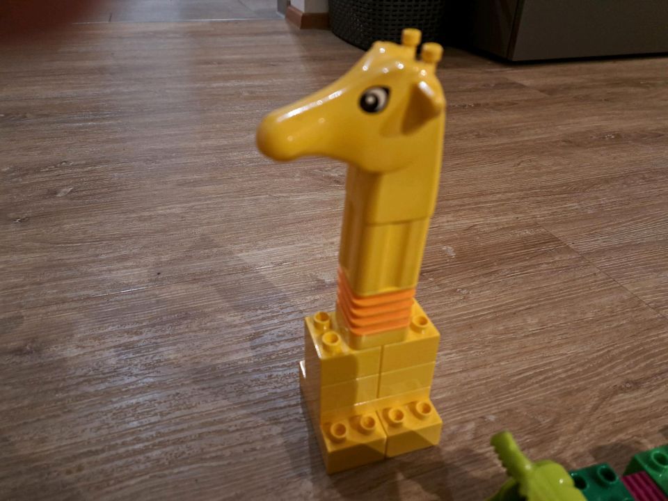 Lego duplo Zoo Tiere Giraffe Krokodil Elefant in Nersingen