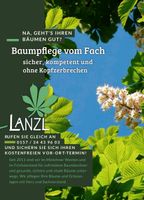 Baumpflege, Baumkontrolle, Baumfällungen, Heckenschnitt Bayern - Wörthsee Vorschau