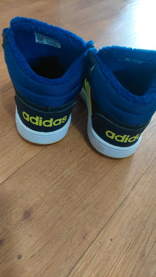 Adidas Hightop Sneaker in Oldenburg