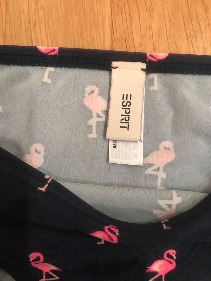 Esprit Bikini Flamingo dunkelblau 140/146 in Michelstadt