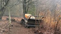 VERMIETUNG 60PS Mähraupe Forstmulcher Mulchraupe Energreen Mieten Niedersachsen - Seesen Vorschau