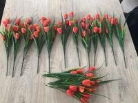 Neu 12 Sträuße orangefarbener TULPEN pro Strauß 5 Tulpen Niedersachsen - Emlichheim Vorschau