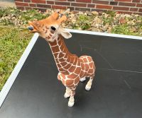 Schleich Giraffe Düsseldorf - Unterbach Vorschau