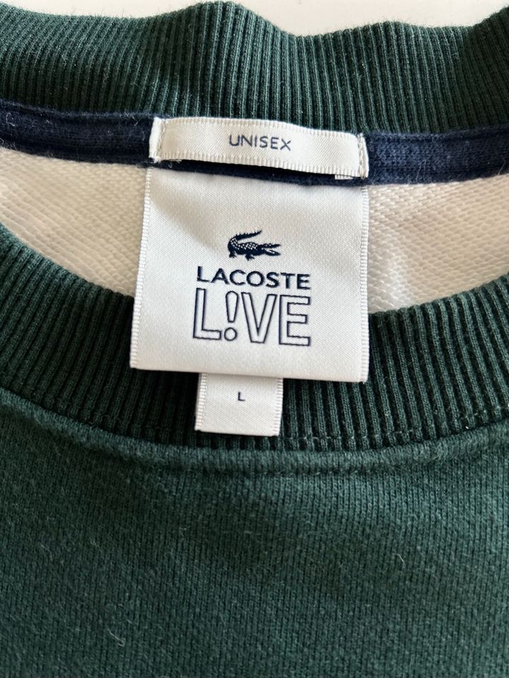 Lacoste Pullover - ungetragen - Größe L  - grün weiß gestreift in Bottrop