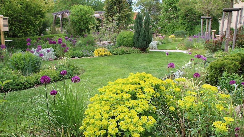 Gartenarbeit| Heckenschnitt|Gartenhilfe|Gartenpflege|Rasenmähen in Herbrechtingen