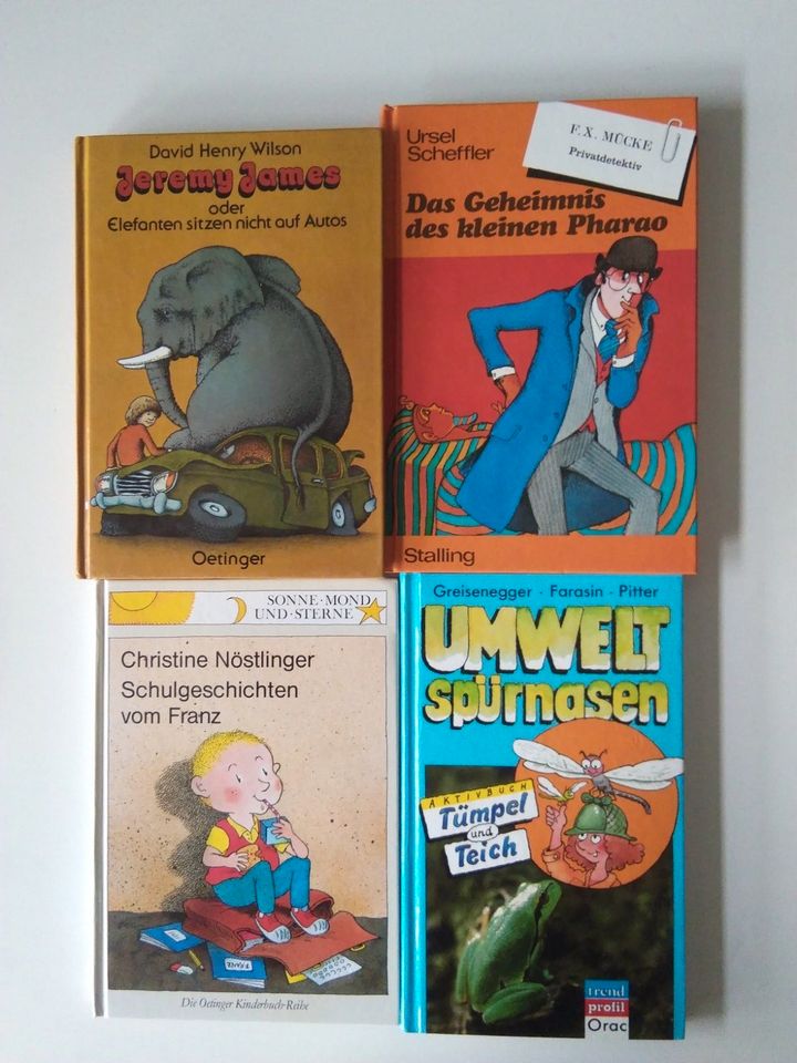 Kinderbücher Kinderbuch Buch Jugendbücher in Lindewitt