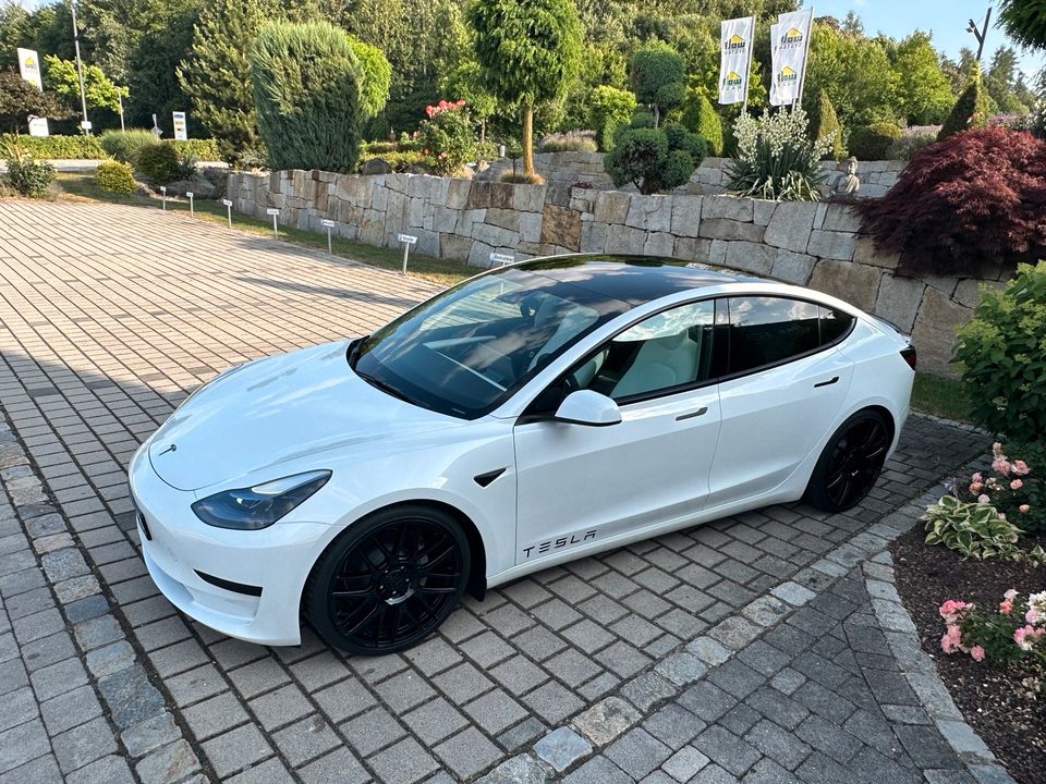 Tesla Model 3 SR+ 20 Zoll weiß/weiß in Osterhofen