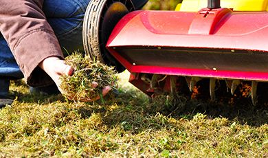 Service für Reinigung, Winterdienst, Gartenpflege, Hausmeister in Dortmund