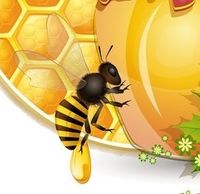 Bienenvölker "Carnica" zu verkaufen Baden-Württemberg - Baden-Baden Vorschau