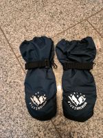 Thinsulate Handschuhe, Größe 134/140 Sachsen-Anhalt - Halle Vorschau