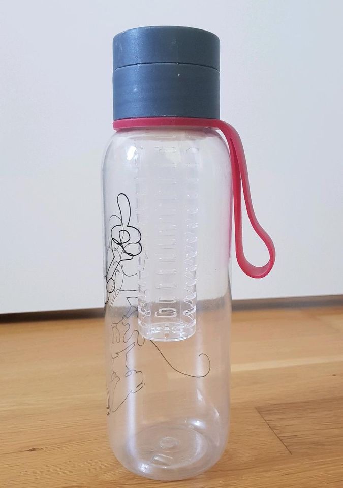Disney Trinkflasche ToGo mit Fruchteinsatz in Darmstadt