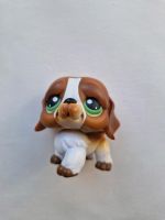 Littlest Pet Shop Dog (LSP) Niedersachsen - Wallenhorst Vorschau