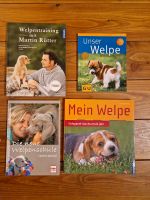 Bücher/Hunde/Erziehung/Training/Welpen/Martin Rütter Baden-Württemberg - Ebersbach an der Fils Vorschau