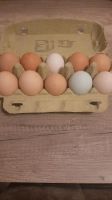 Frische Eier von freilaufend  Hühner Nordrhein-Westfalen - Oer-Erkenschwick Vorschau
