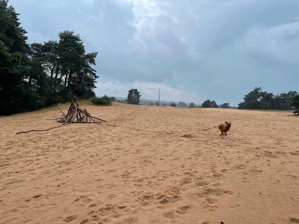 Gemütliches Chalet im Recreatiepark de Veerstal zu verkaufen! in Schermbeck