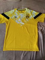 BVB Borussia Dortmund Iconic Shirt Gr M Puma sehr guter Zustand Hessen - Heuchelheim Vorschau