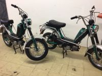 Puch x 20 Moped Orginal Zustand je 1000€ Festpreis Bayern - Bad Abbach Vorschau