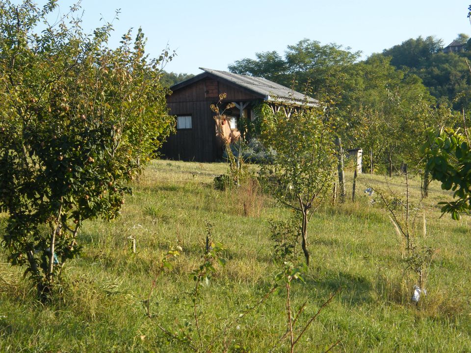 Komplett renoviertes ungarisches Landhaus inmitten von Weinbergen in Gangkofen