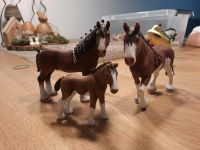 Schleich Pferd Clydesdale Familie Fohlen Stute Hengst Set nwrtg Nordrhein-Westfalen - Bottrop Vorschau