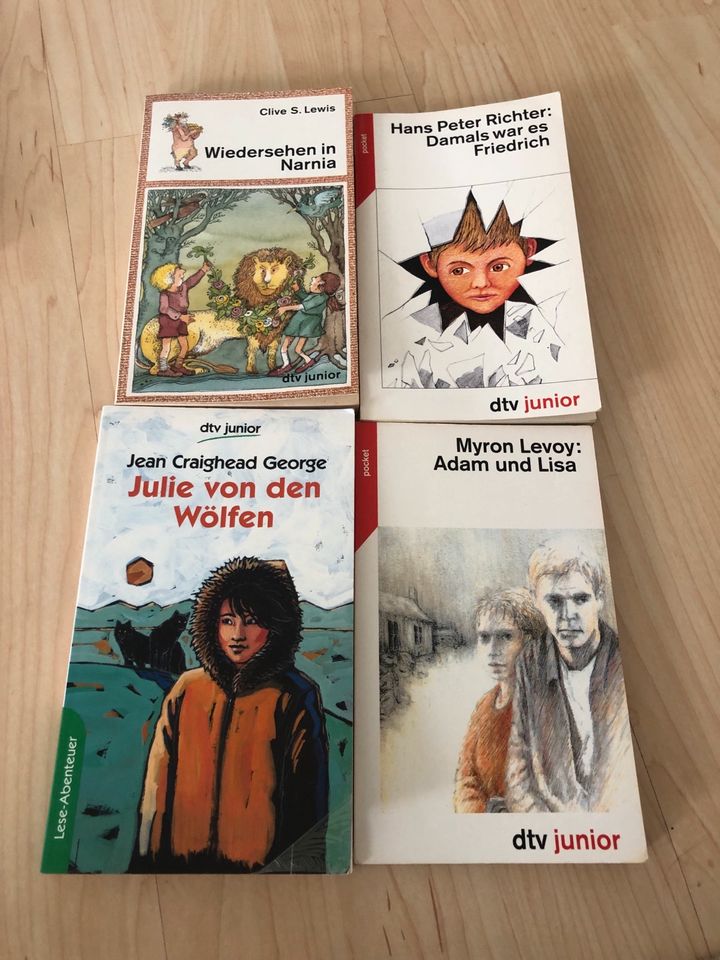 4 dtv pocket Junior Bücher  Jugendbücher Einzelkauf möglich in Schiffdorf