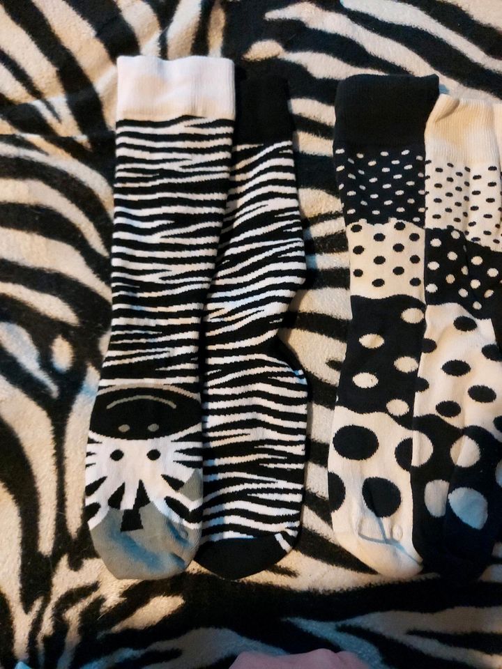 Zebrasocken Größe 40 in Marlow