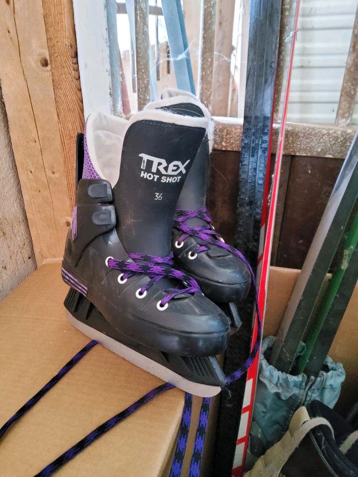 Skiausrüstung, Langlauf, Snowboardschuhe, Schlittschuhe in Dresden