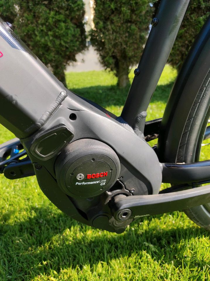 Pegasus Savona premio EVO 10 E-Bike mit ABS Bosch in Itzehoe