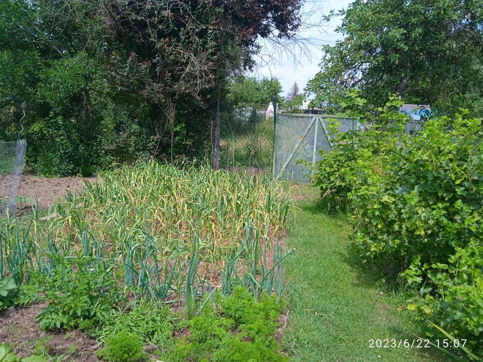 Schrebergarten in Frankenberg (Eder)