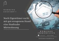 **WOHNUNG GESUCHT** Noch Eigentümer sucht mit gut erzogenem Hund eine Stadtnahe Mietwohnung Nordrhein-Westfalen - Attendorn Vorschau