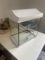 Tetra Aquarium 30L + Zubehör Berlin - Neukölln Vorschau