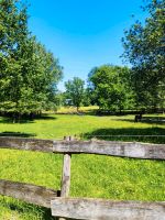 Offenstall/Weide/Wiese 1-2 ha + Unterstand/Stall Pferdebox Nordrhein-Westfalen - Lünen Vorschau