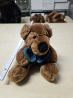 Nici Kuschel Teddybär mit Fliege sitzend weich neuwertig Hessen - Dillenburg Vorschau