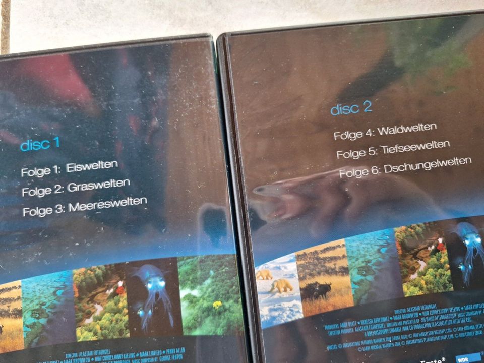 4 DVDs Planet Erde + 2 DVDs Planet des Lebens in Freudenberg